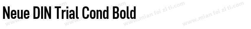 Neue DIN Trial Cond Bold字体转换
